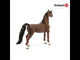 Schleich American Saddlebred Gelding