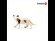Schleich Farm World American Shorthair Cat