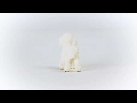 Schleich Farm World Bichon Frisé