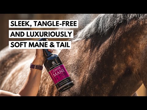 Carr & Day & Martin Equimist Canter Mane & Tail Conditioner 0.5 gal.