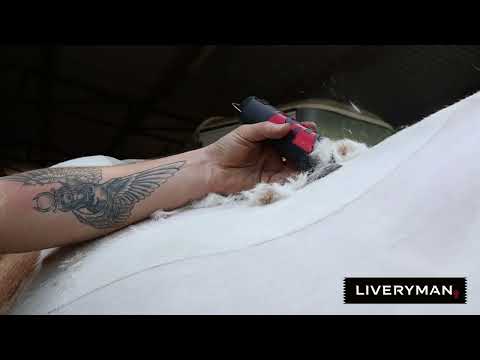 Liveryman Harmony Plus Cordless Clipper