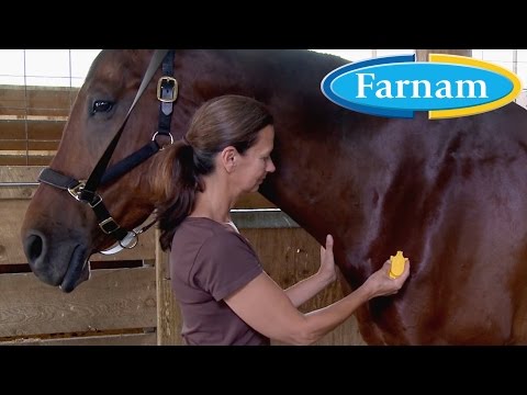 Farnam Equi-Spot Spot On Protection for Horses 0.34 oz. - Pack of 3