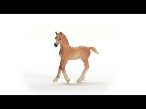 Schleich Horse Club Arabian Foal