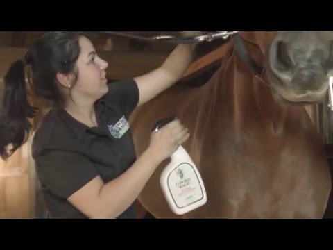 Cowboy Magic Super Body Shine 32 oz.