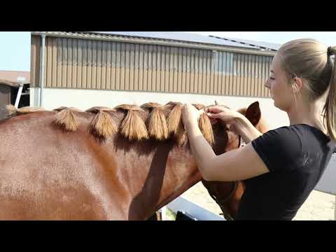 Leovet 5 Star Braiding Gel 6.8 oz.
