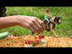 Schleich Horse Club Hannah's Western Riding Set