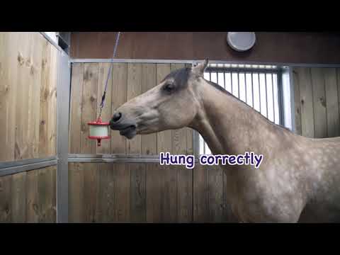 Likit Boredom Buster Horse Toy