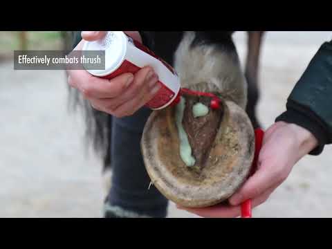 Leovet FrogAde Hoof Care W/ Brush 6.8 oz.